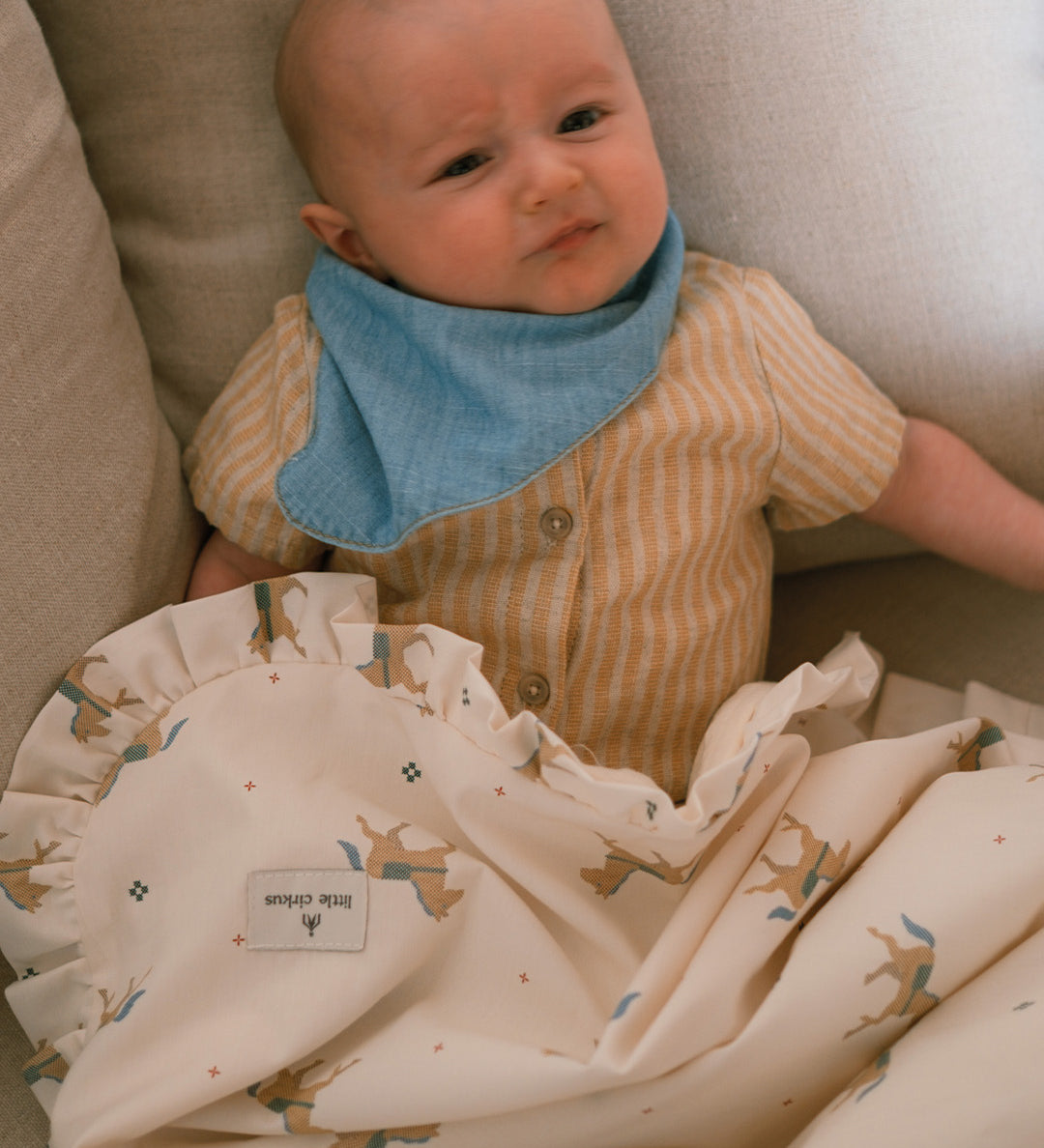 Manta reversible Horse