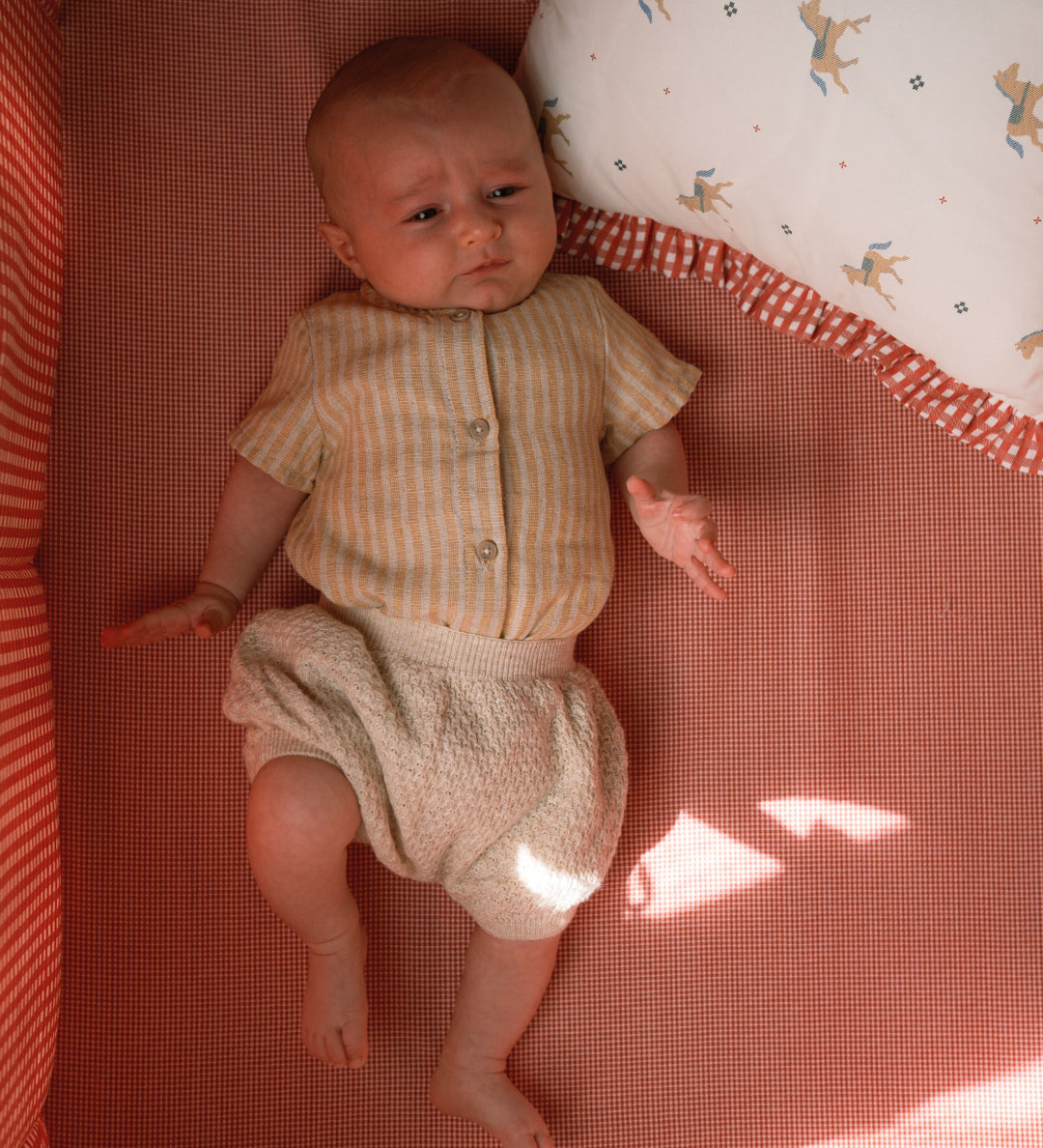 Bajera cuna 60x120 Mini Red Gingham