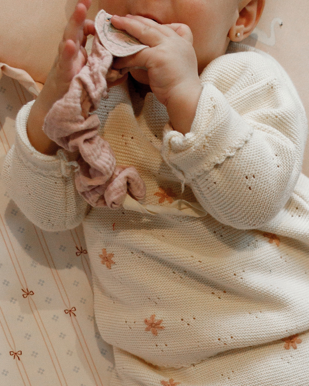 Pacifier holder Swan Lake